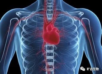 重磅推出最新欧洲共识解读：：：高尿酸血症和高心血管风险患者的诊断和治疗专家共识（2018）